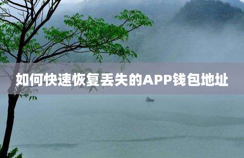 如何快速恢复丢失的APP钱包地址