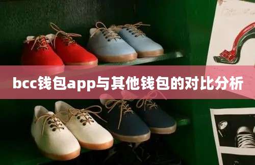 bcc钱包app与其他钱包的对比分析