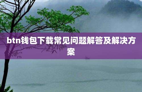 btn钱包下载常见问题解答及解决方案