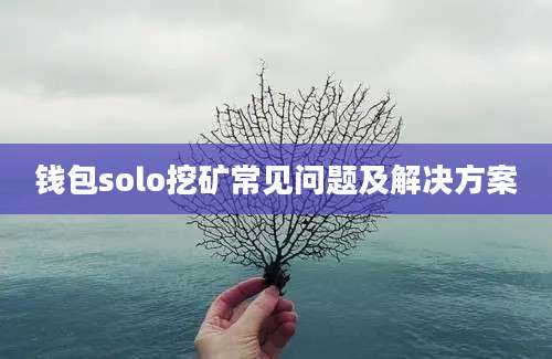 钱包solo挖矿常见问题及解决方案