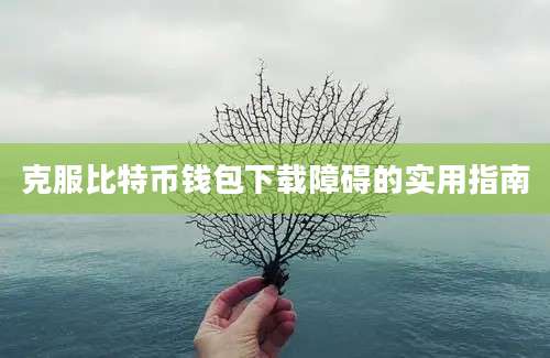 克服比特币钱包下载障碍的实用指南