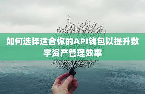 如何选择适合你的API钱包以提升数字资产管理效率