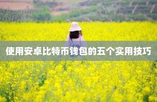 使用安卓比特币钱包的五个实用技巧