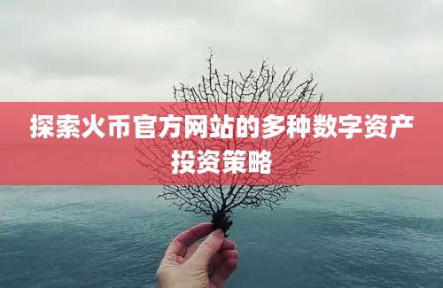 探索火币官方网站的多种数字资产投资策略