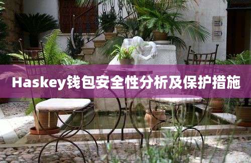 Haskey钱包安全性分析及保护措施