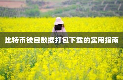 比特币钱包数据打包下载的实用指南