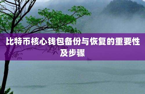 比特币核心钱包备份与恢复的重要性及步骤