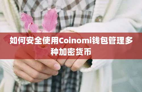 如何安全使用Coinomi钱包管理多种加密货币