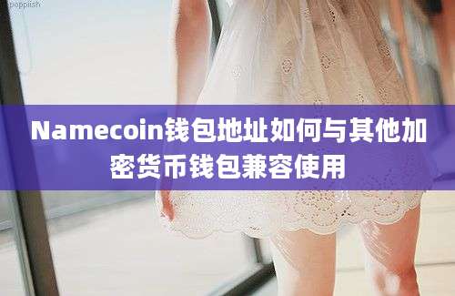 Namecoin钱包地址如何与其他加密货币钱包兼容使用