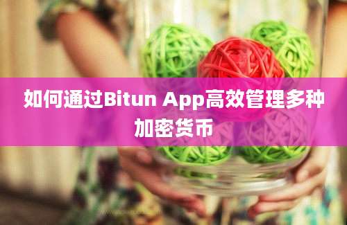 如何通过Bitun App高效管理多种加密货币