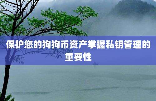 保护您的狗狗币资产掌握私钥管理的重要性