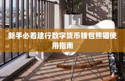 新手必看建行数字货币钱包熊猫使用指南