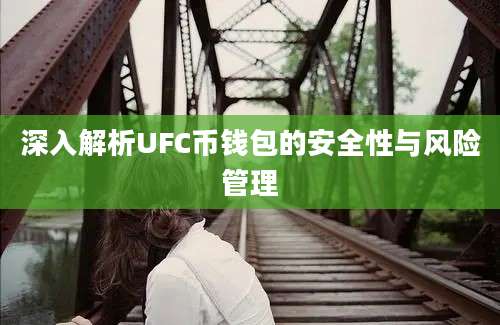 深入解析UFC币钱包的安全性与风险管理