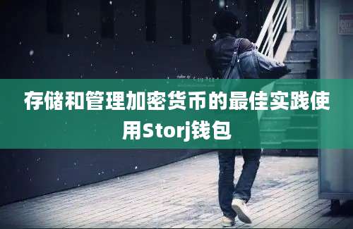 存储和管理加密货币的最佳实践使用Storj钱包