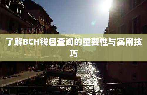 了解BCH钱包查询的重要性与实用技巧