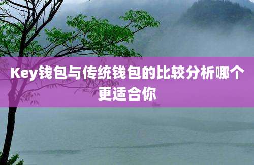 Key钱包与传统钱包的比较分析哪个更适合你