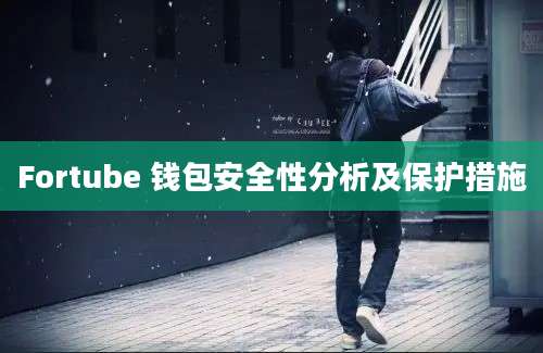 Fortube 钱包安全性分析及保护措施