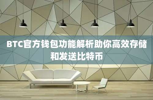 BTC官方钱包功能解析助你高效存储和发送比特币