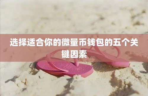 选择适合你的微量币钱包的五个关键因素