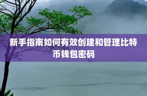 新手指南如何有效创建和管理比特币钱包密码