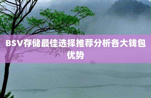 BSV存储最佳选择推荐分析各大钱包优势