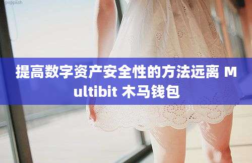 提高数字资产安全性的方法远离 Multibit 木马钱包