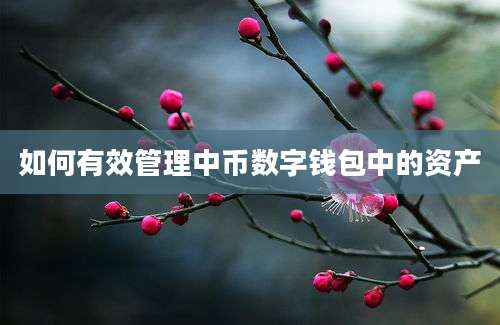 如何有效管理中币数字钱包中的资产