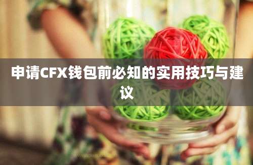 申请CFX钱包前必知的实用技巧与建议