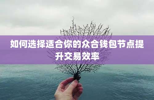 如何选择适合你的众合钱包节点提升交易效率