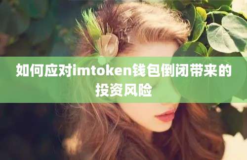 如何应对imtoken钱包倒闭带来的投资风险