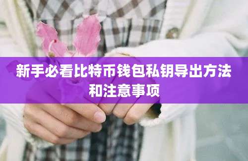 新手必看比特币钱包私钥导出方法和注意事项