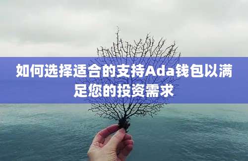 如何选择适合的支持Ada钱包以满足您的投资需求