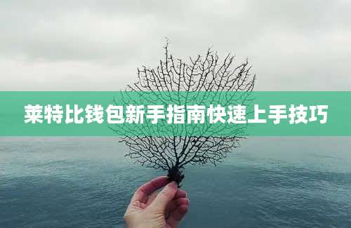 莱特比钱包新手指南快速上手技巧