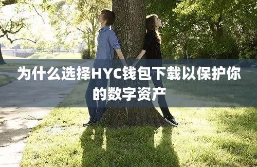 为什么选择HYC钱包下载以保护你的数字资产