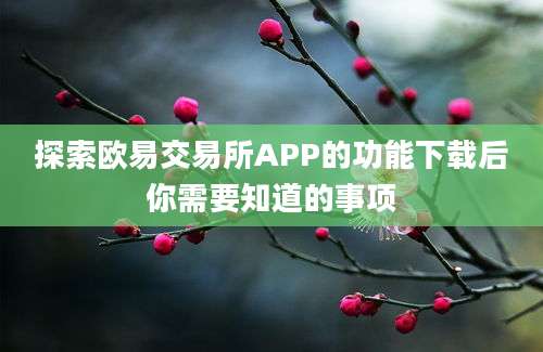 探索欧易交易所APP的功能下载后你需要知道的事项