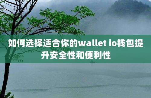 如何选择适合你的wallet io钱包提升安全性和便利性