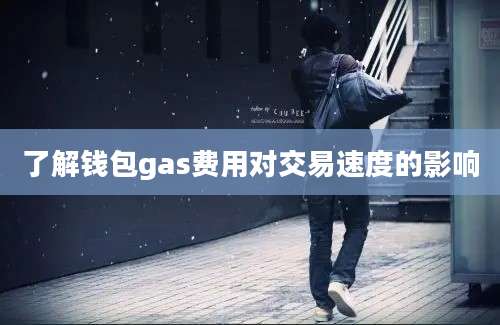 了解钱包gas费用对交易速度的影响