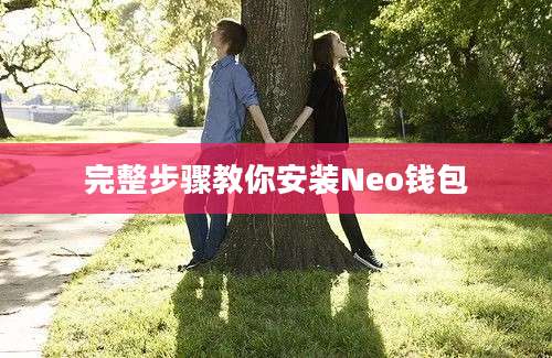 完整步骤教你安装Neo钱包