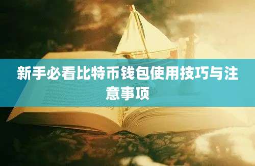 新手必看比特币钱包使用技巧与注意事项