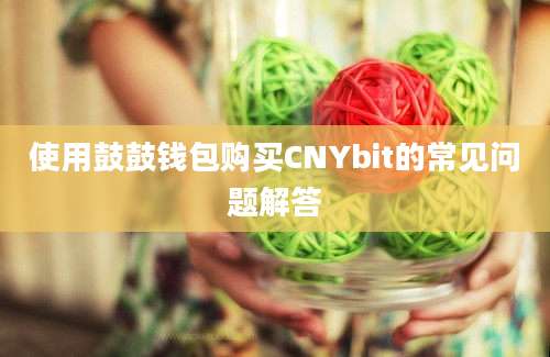 使用鼓鼓钱包购买CNYbit的常见问题解答