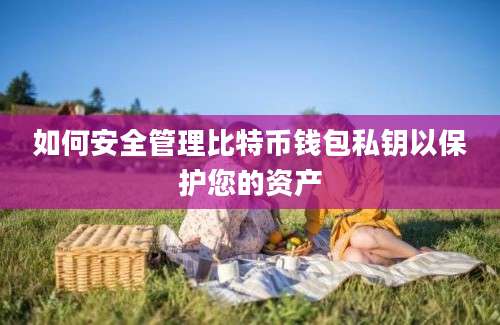 如何安全管理比特币钱包私钥以保护您的资产