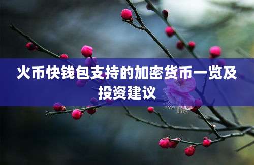 火币快钱包支持的加密货币一览及投资建议