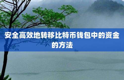 安全高效地转移比特币钱包中的资金的方法