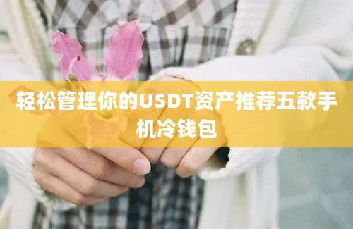 轻松管理你的USDT资产推荐五款手机冷钱包