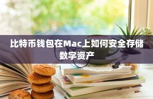 比特币钱包在Mac上如何安全存储数字资产