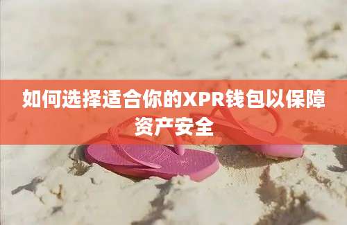 如何选择适合你的XPR钱包以保障资产安全