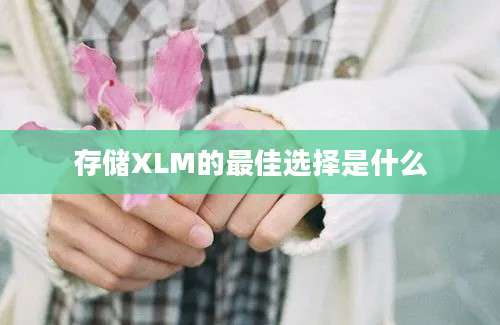 存储XLM的最佳选择是什么