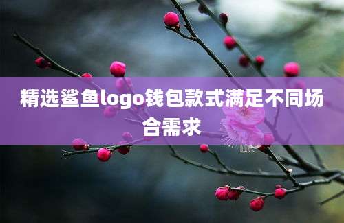 精选鲨鱼logo钱包款式满足不同场合需求