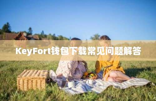 KeyFort钱包下载常见问题解答