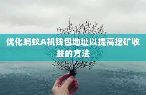 优化蚂蚁A机钱包地址以提高挖矿收益的方法